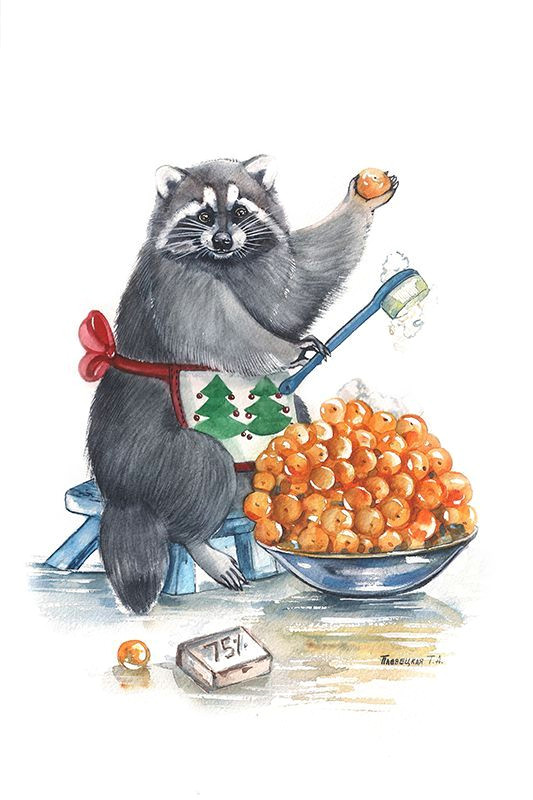 racoon raccoon art animal drawings art drawings christmas animals pastel art