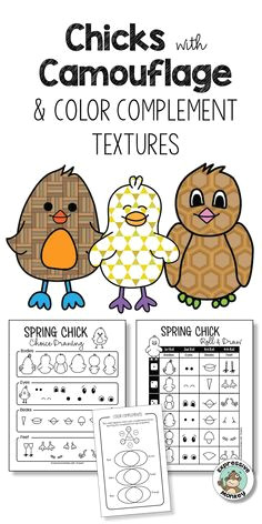 animal adaptations chicks with camouflage art activity