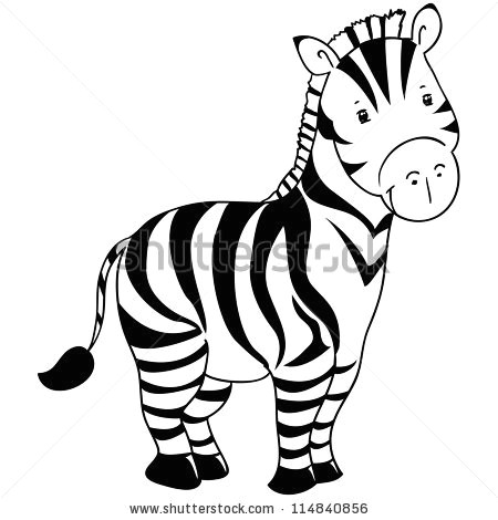 zebra cartoon stock images royalty free images vectors