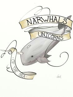 daily drawing narwhals cute narwhal kawaii narwhal wale unicorns and mermaids