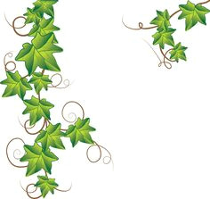 ivy vine tattoo designs ivy image vector clip art online royalty free public domain
