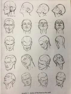 head proportions comic face anatomy drawing drawing tips basic drawing old