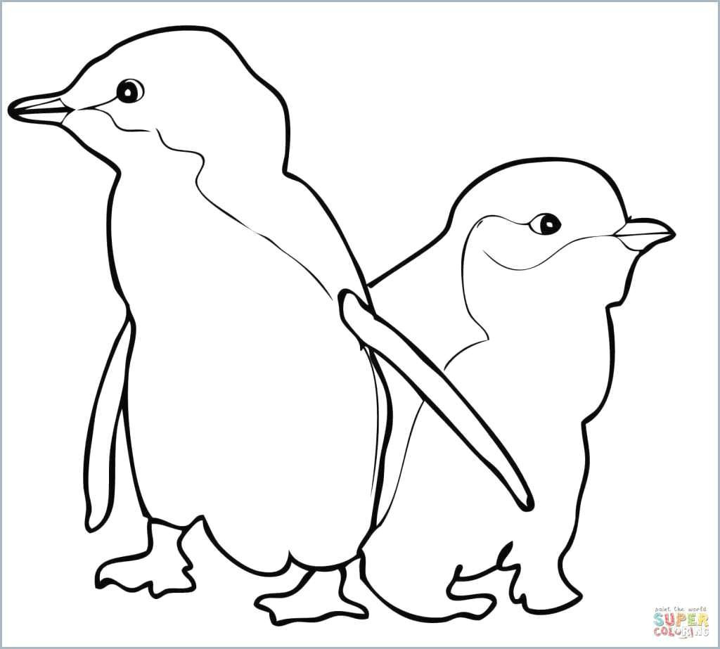 penguin coloring pages awesome extraordinary ideas coloring pages penguins pictures of cartoon of penguin coloring pages