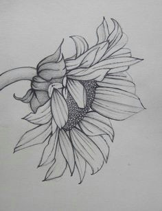 flower pencil drawings flower design drawing simple flower drawing floral drawing drawing