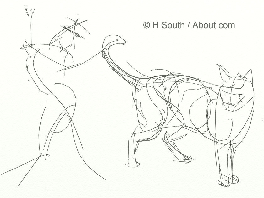 sketches of cats