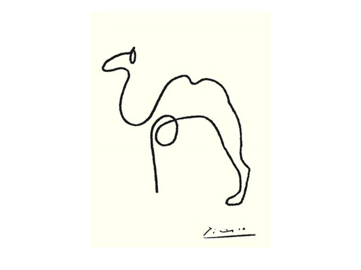 picasso line drawings all the night cats the camel b line drawings b by pablo b picasso b