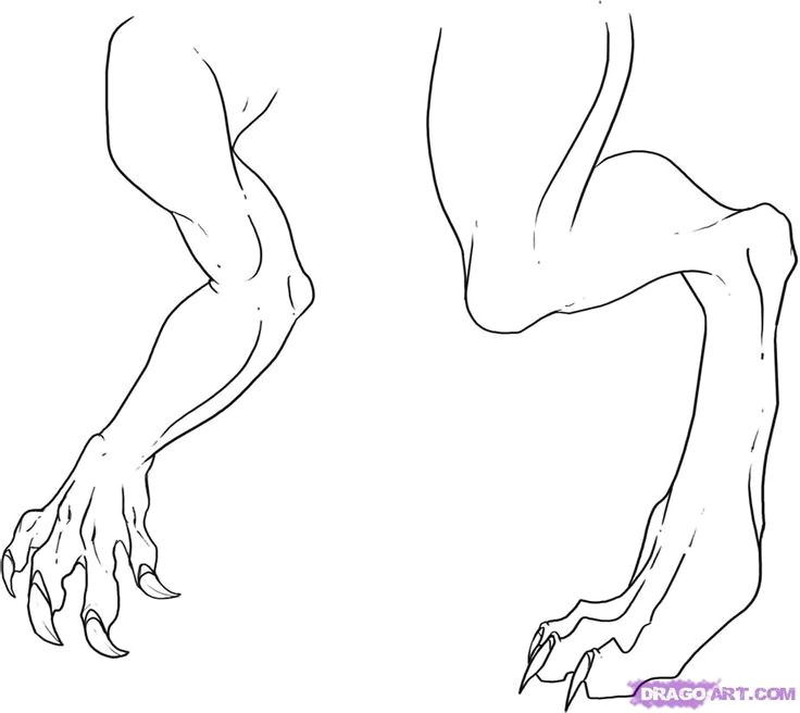 how to draw dragon legs arms and talons step 7 dragons pinterest drawings dragon and dragon art