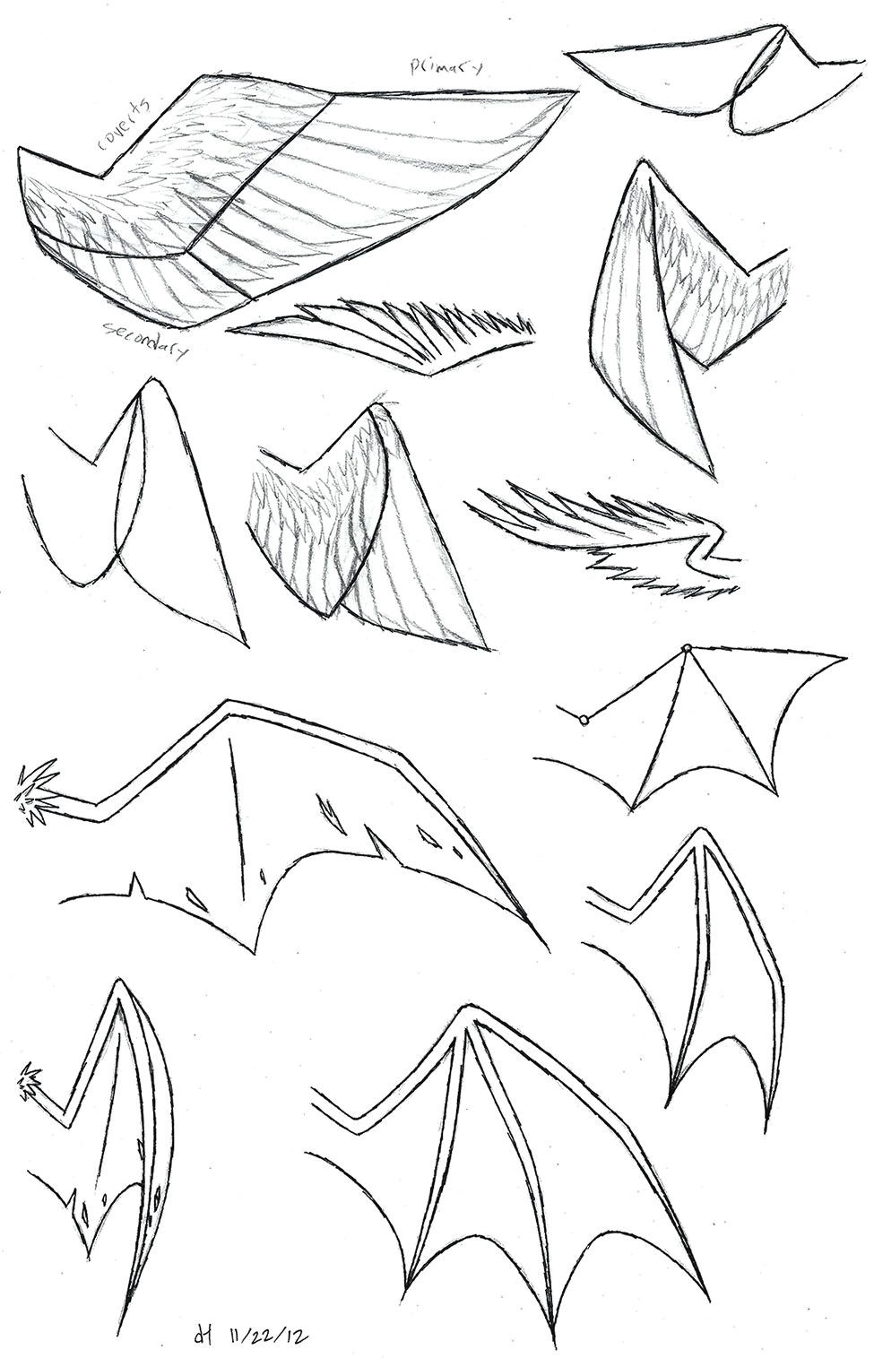 how to draw folded dragon wings wing study by vibrantechoes