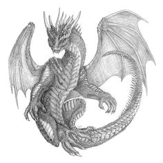 dragon drawing 9 cool dragon drawings drawings of dragons dragon artwork dragon medieval