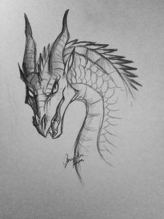 queen scarlet from the wings of fire series karen coe a dragon head drawing
