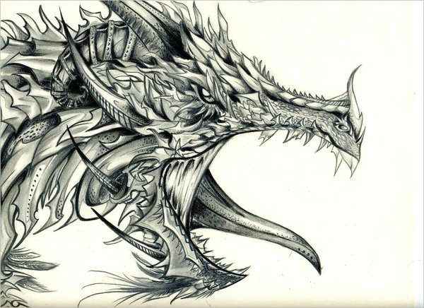 cool dragon drawings dragon head drawing dragon art dragon sketch fantasy dragon