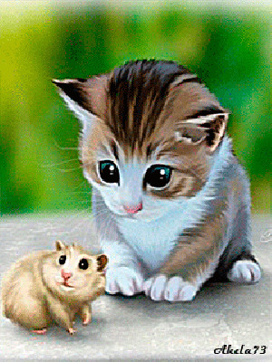 dreamies de image chat cat gif animal pictures funny cats cute