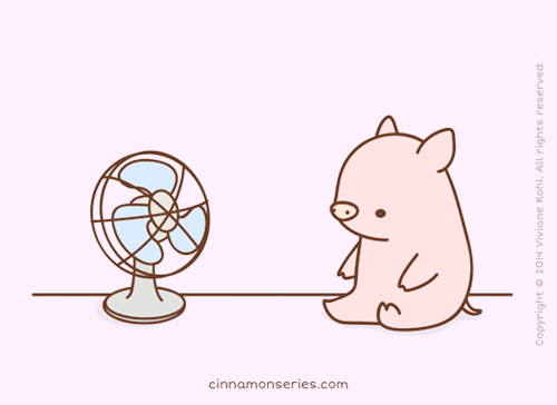 pig with a fan mini pigs baby animals funny animals cute animals