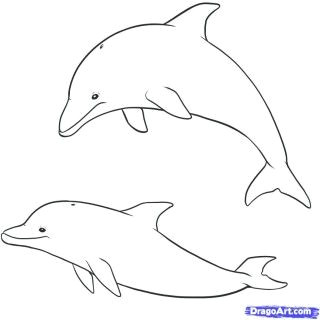 how to draw cute cartoon sea creatures litle pups