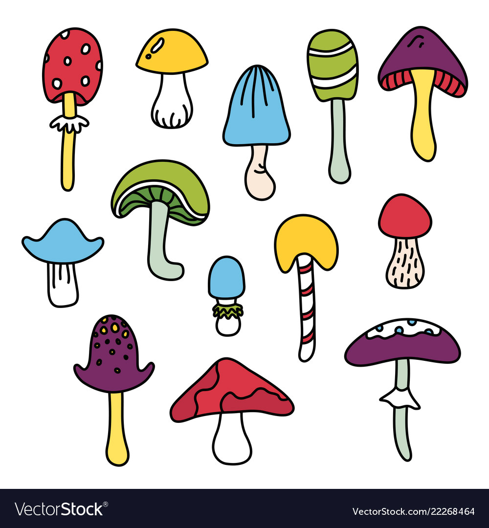 colorful isolated mushroom hand draw black outline vector image