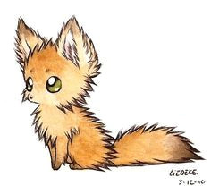 fluffy fennec fox how to draw foxescute