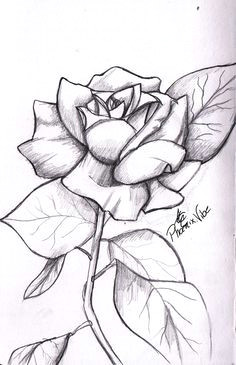 sketches on pinterest easy sketches rose drawings and sketches easy drawings