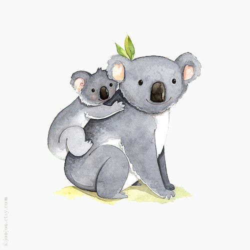 hand painted koala png and clipart photo artistique easy watercolor watercolor animals