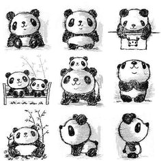 what adorable little kawaii panda sketches so cute i love all the different positions put together here i am panda