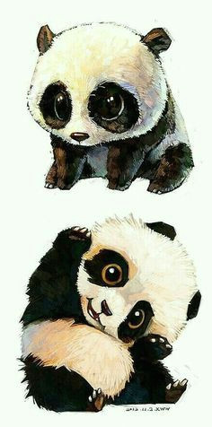 pandas cute animal drawings animal sketches cute drawings cute panda
