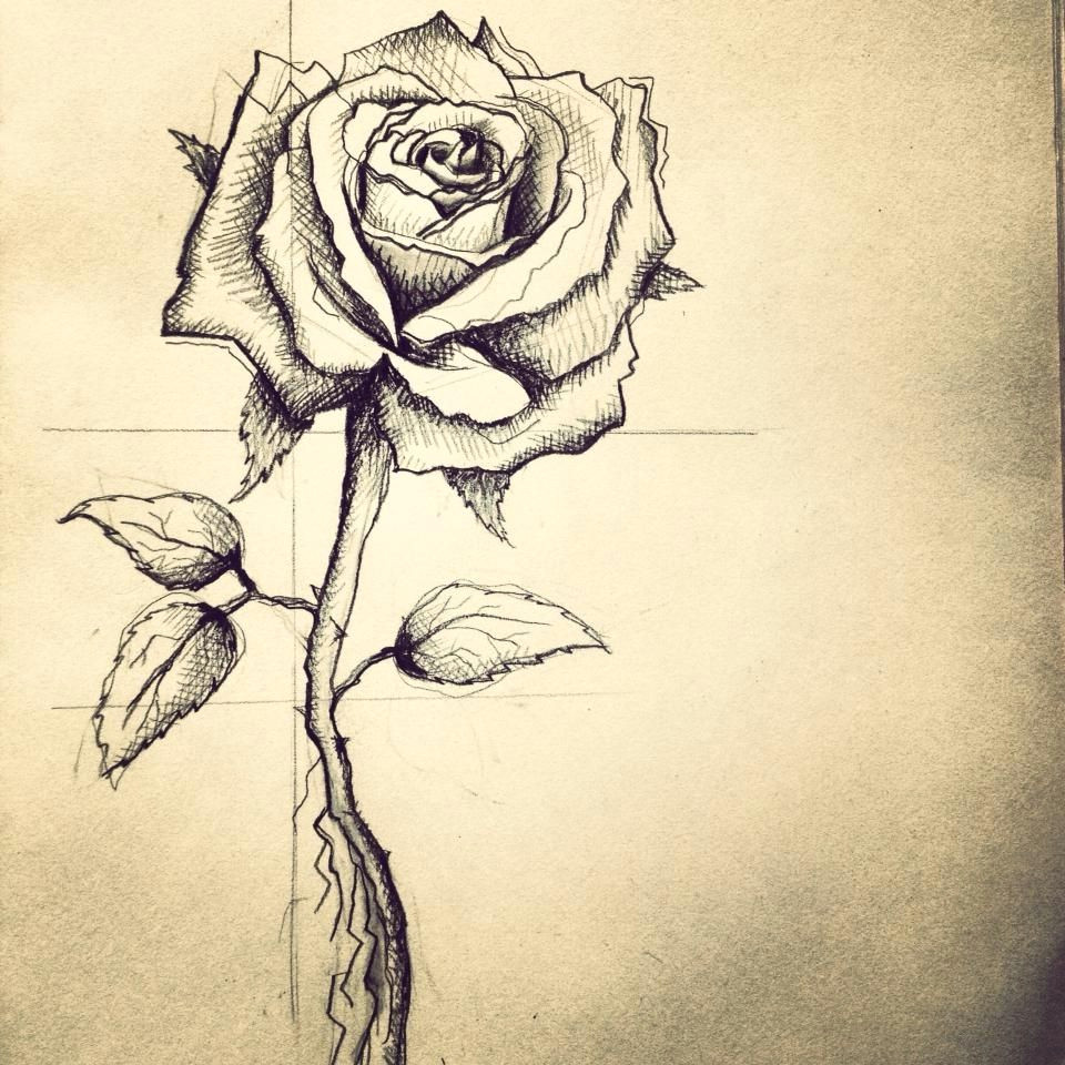 rose tattoo design for my friend in boston he wanted it to represent the women in his life mother wife and daughter