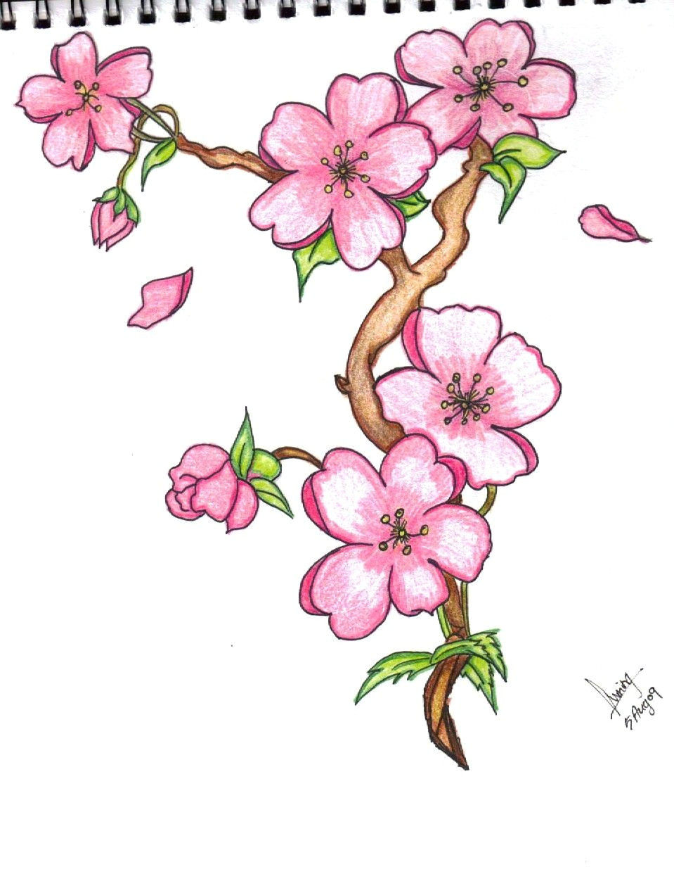 discover ideas about flower drawings with color