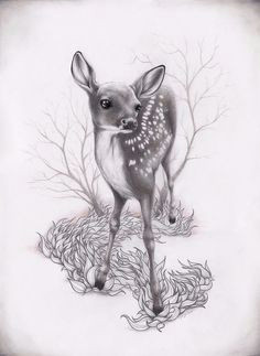 deer illustration creem beautiful drawings animal drawings pencil drawings art drawings