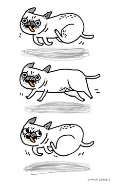 pug run