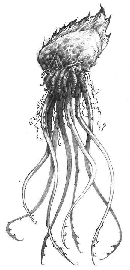 jellyfish by jasonheeley on deviantart