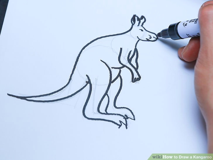 image titled draw a kangaroo step 24