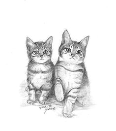 kitten drawings drawing other bw 008