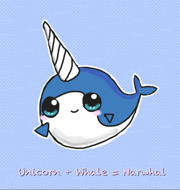 funny narwhal pictures cute narwhal by sweet fizz on deviantart