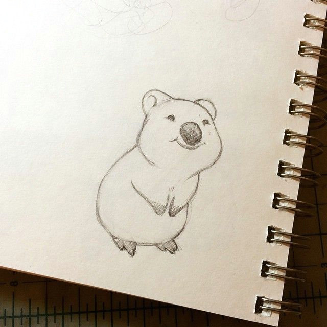 Cute Quokka Drawing Warm Up Sketch for You Internet A Happy Little Quokka Those