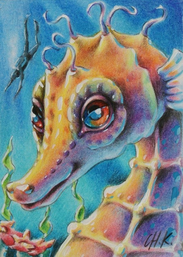 seahorse colored pencils 2 5x3 5 cute animal illustration pencil illustration