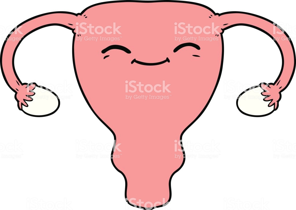cartoon uterus illustration