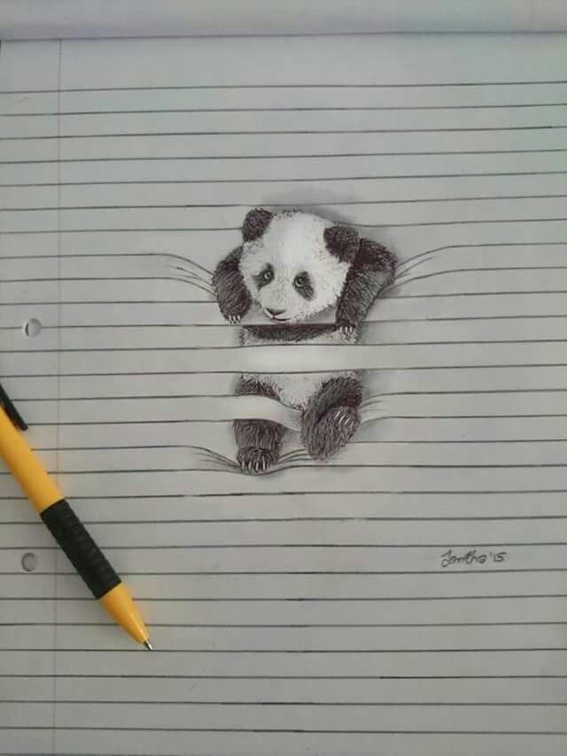 iantha naicker i drew these animals on lined paper with colour pencils watercolors i love creating cute and funny images