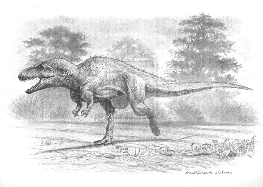 acrocanthosaurus by bioimagen on deviantart feathered raptor feathered dinosaurs dinosaur drawing baby