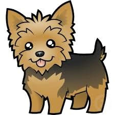 image result for yorkie cartoon images
