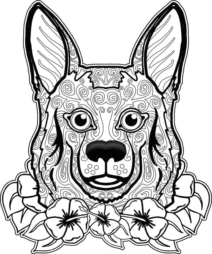contemporary yorkie coloring pages coloring paper concept yorkie