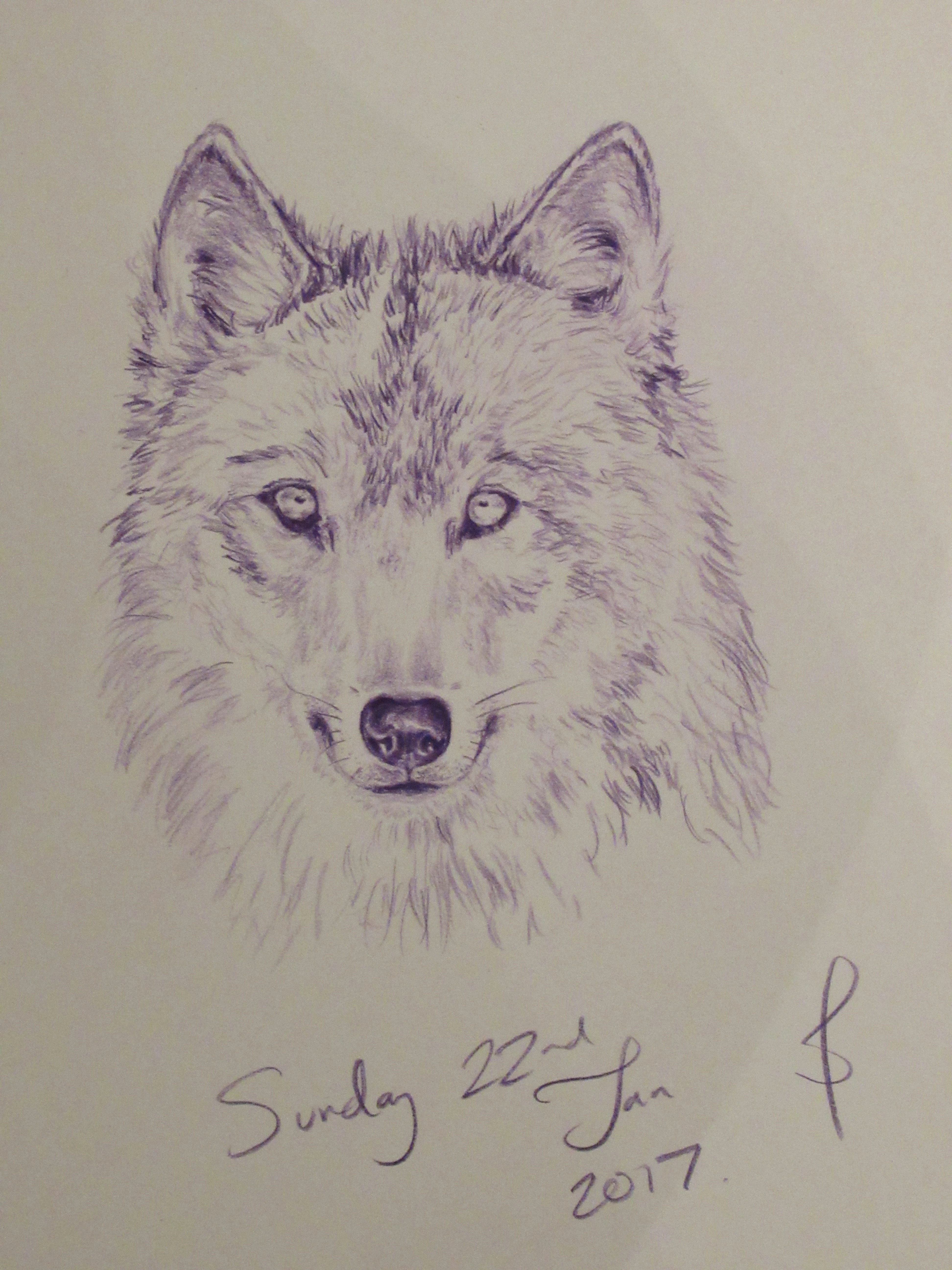 thought i d do a wolf and in purple to save my blues from