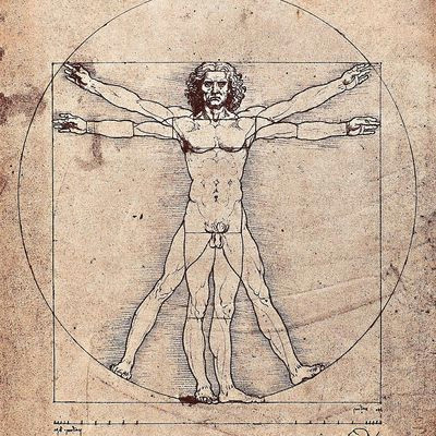 da vinci s vitruvian man