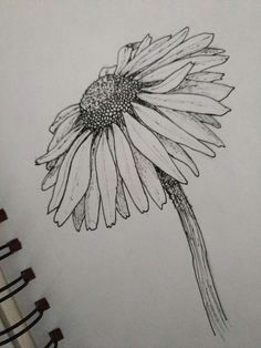 art beautiful black and white daisy drawing flower pen real sketch tumblr other pinterest drawings art and art drawings