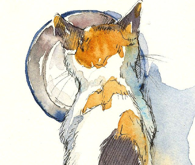 scoutie with milk cu in 2019 aqua pinterest watercolor cat watercolor and draw