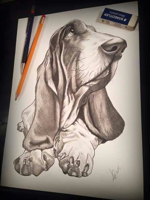 basset basset hound dog beagle bloodhound dog art poodle dog lovers