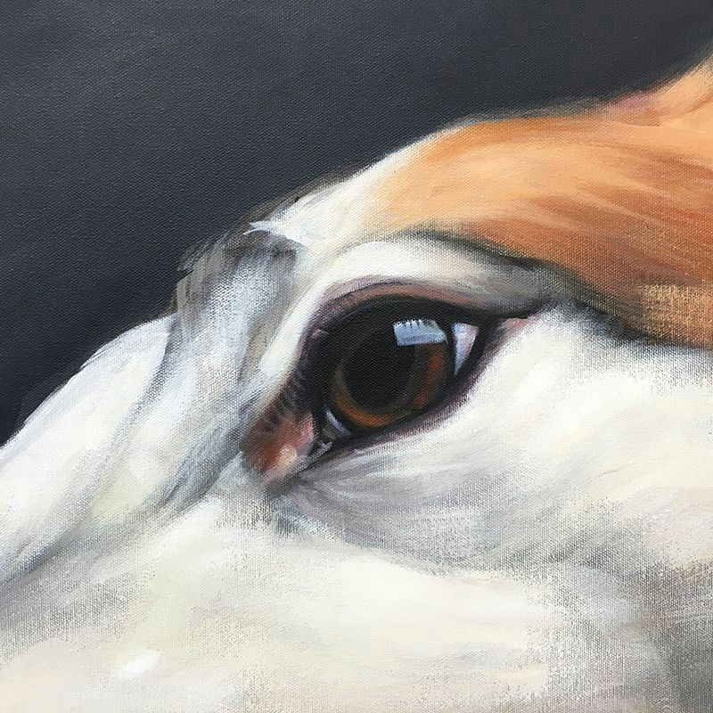 super close up eye detail of commissioned dog portrait roo aimeehoover com