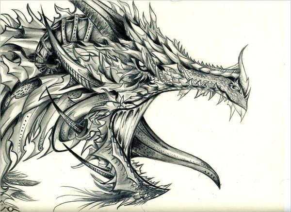 discover ideas about cool dragon drawings