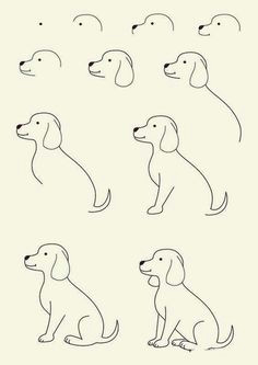how to draw cute animals 46 drawing techniques drawing tips drawing for