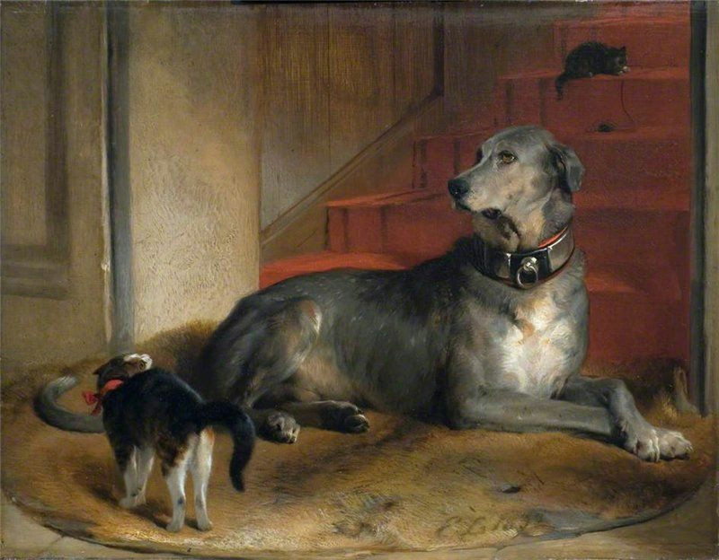 sir edwin landseer lady blessington s dog the barrier d d d d dµd d d d dµn n d d d n d d d d n n dµn 1832 d