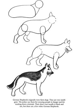 how to draw dogs drawing lessons drawing techniques drawing tips art lessons