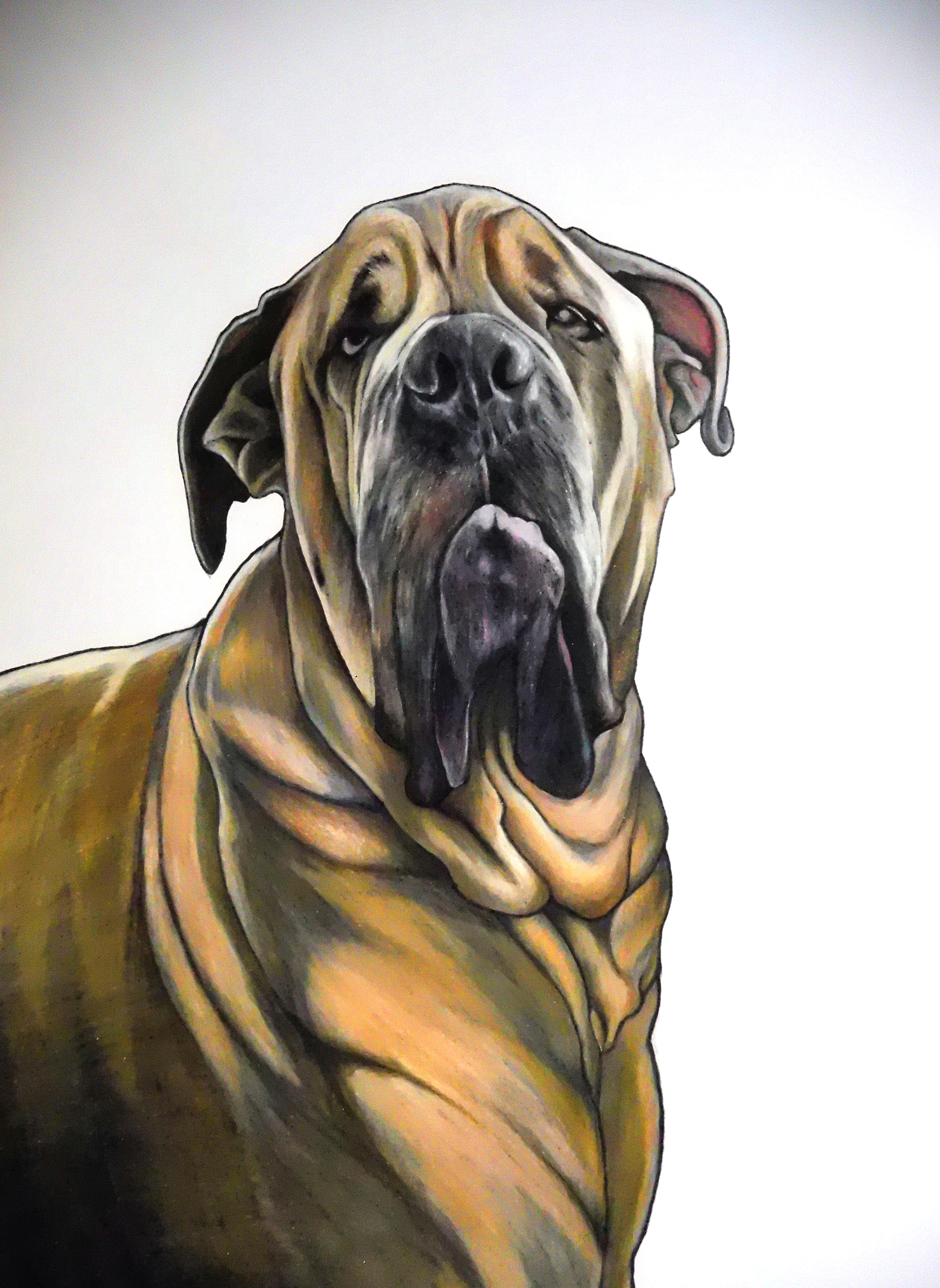 mastiff drawing this is nubbie a k a loki a k a the o b original baby